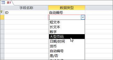 Access数据类型