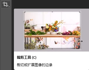 富媒体工具提示：“裁剪”工具