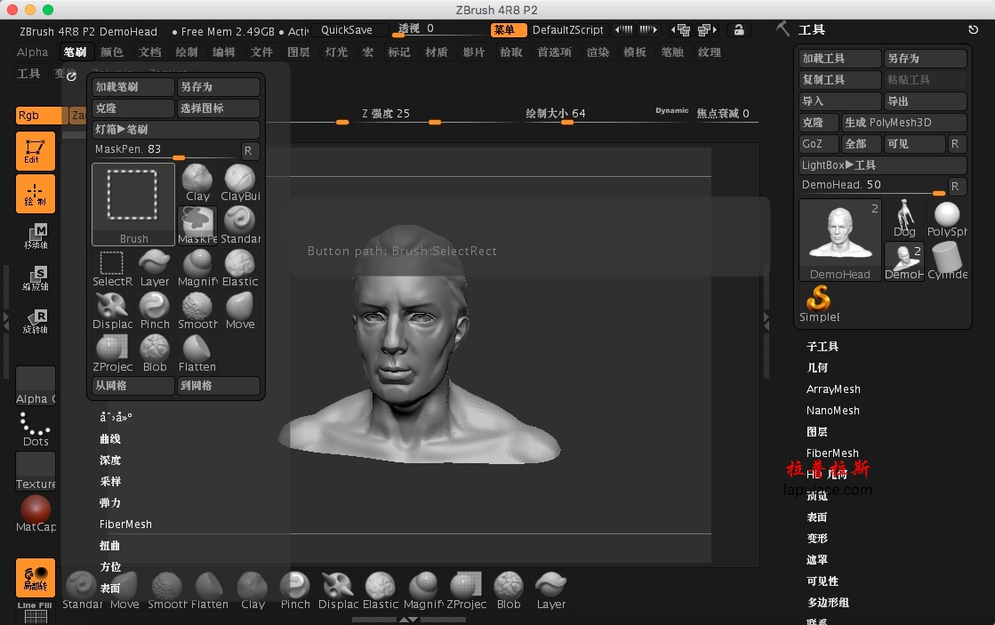 what is pixologic zbrush 4r8 p2