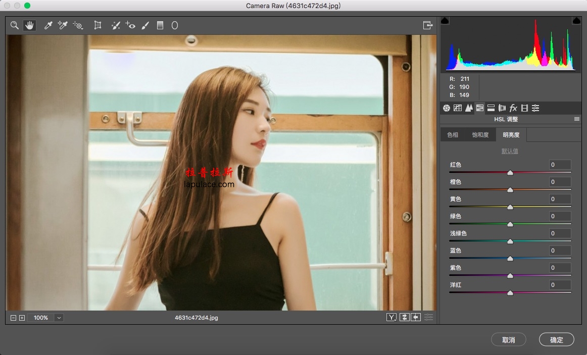 Adobe Camera Raw 11 for Mac 11.3.1 中文版Photoshop for Mac 软件 raw文件编辑插件