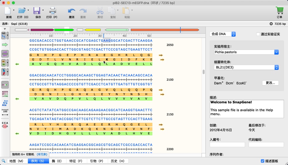 SnapGene for Mac 4.3.0 分子生物学软件 中文汉化破解版下载