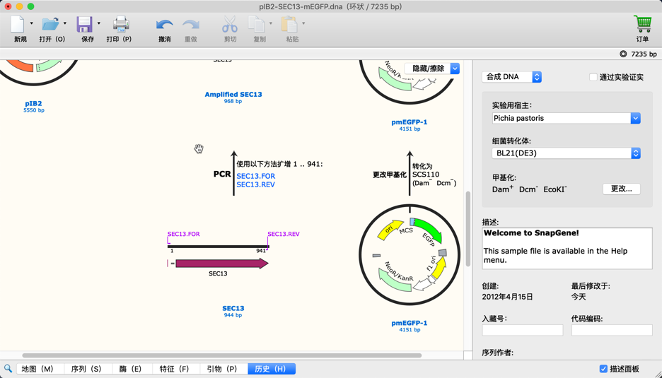 SnapGene for Mac 4.3.0 分子生物学软件 中文汉化破解版下载