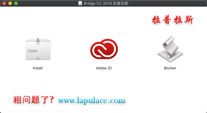 Adobe Bridge_1.png