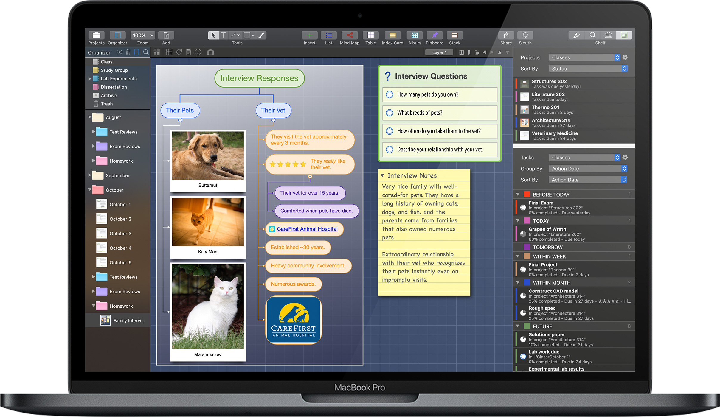 Curio 13 Professional for Mac 头脑风暴和项目管理软件 破解版下载