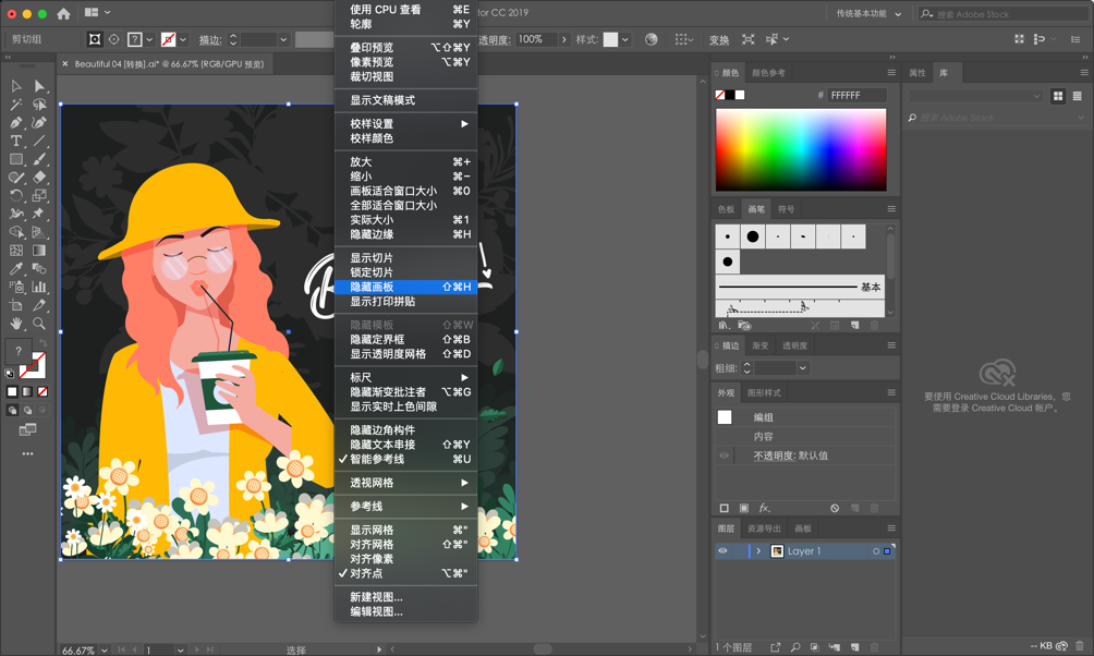 illustrator cc 2022