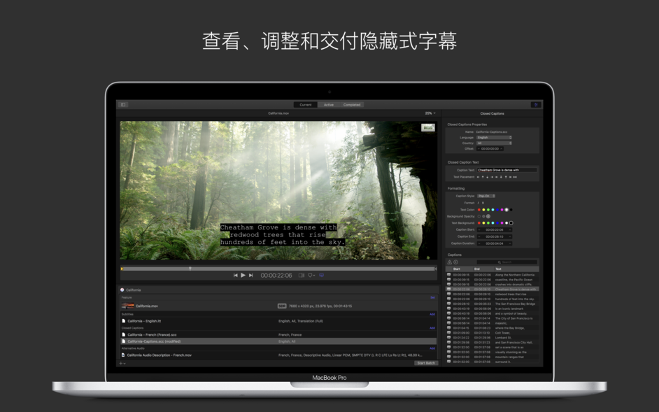 Compressor Mac版 v4.4.5 苹果FCPX辅助导出编码工具 中文下载