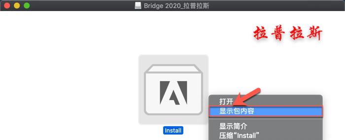Bridge 2020 Mac_2.png