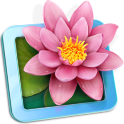 LilyView for Mac v1.5.1 苹果易于使用的轻量级图像查看器 破解版下载