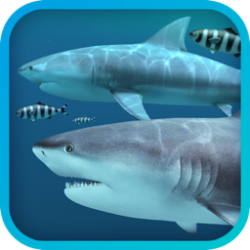 Sharks 3D for Mac v2.1.0 苹果电脑鲨鱼3D动态壁纸软件 破解版免费下载